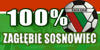 100% Zagłębie Sosnowiec